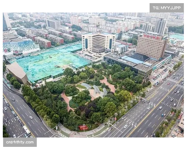 沧州摔跤赛事进商圈 体育品牌折扣联动吸引大量客流