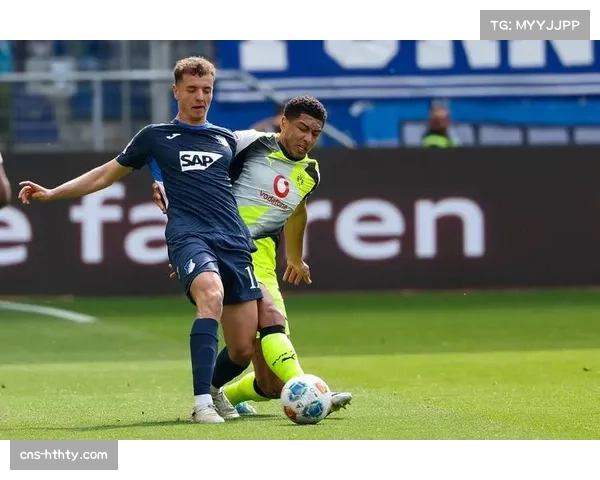 平民球队的逆袭：霍芬海姆高效团队足球挑战德甲传统格局